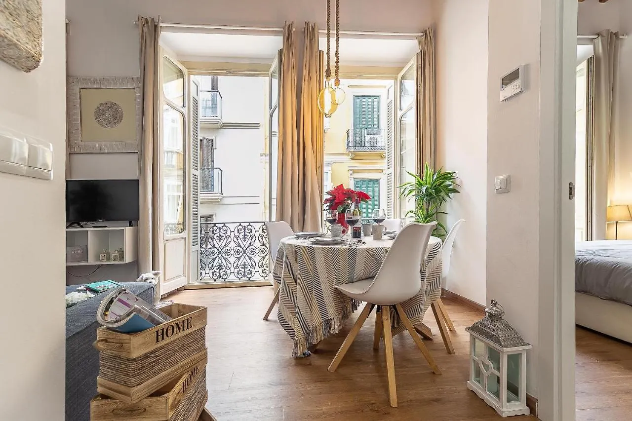 Deluxe Larios Malaga Center Apartment