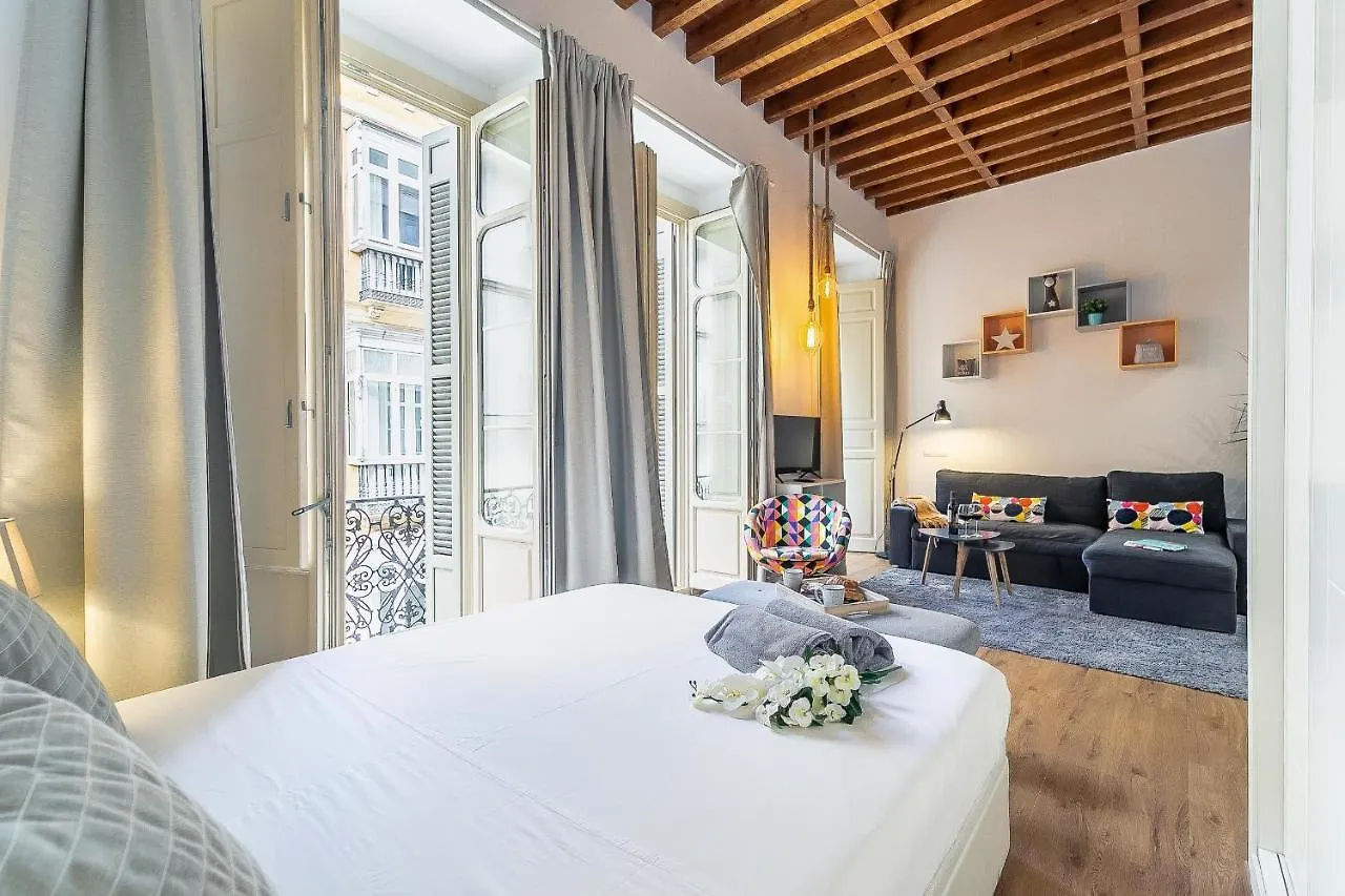 Deluxe Larios Malaga Center Apartment