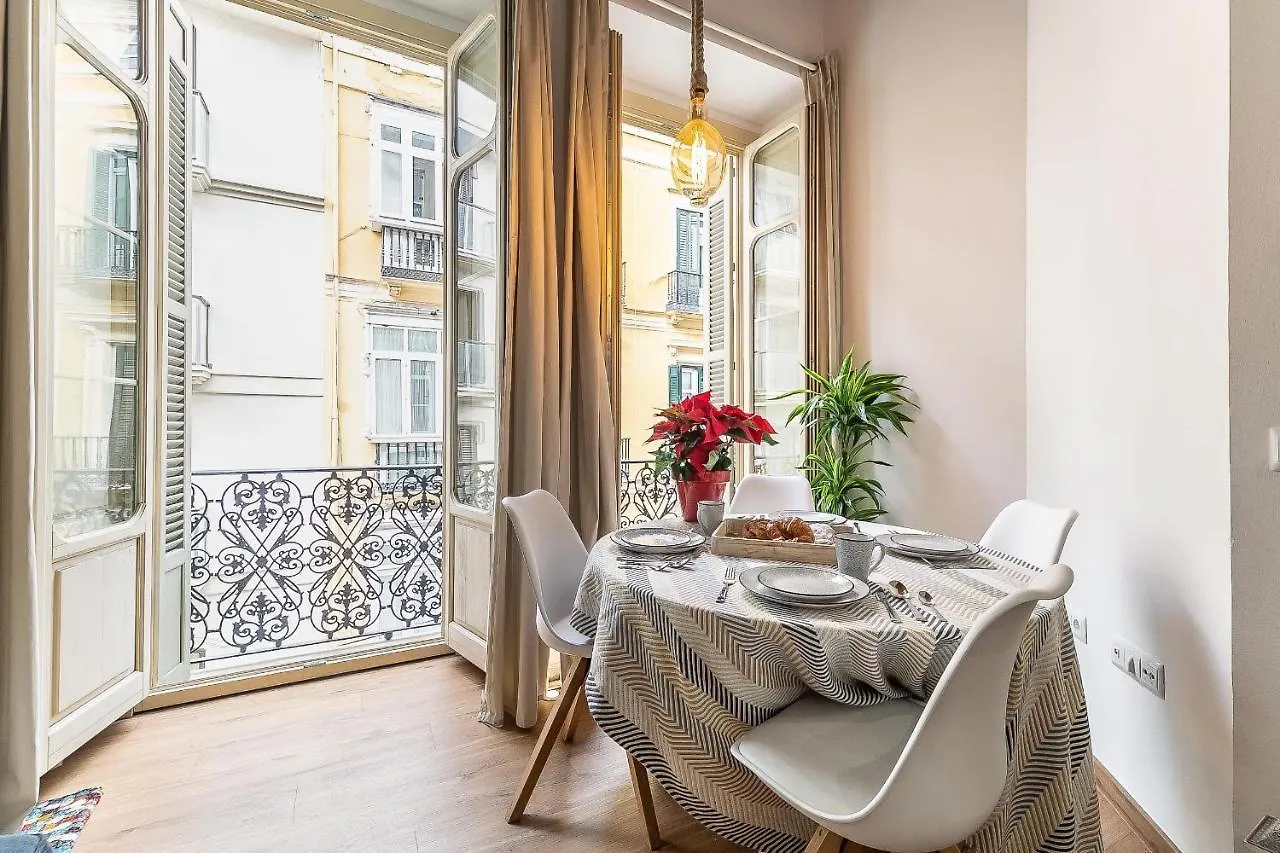 Deluxe Larios Malaga Center Apartment
