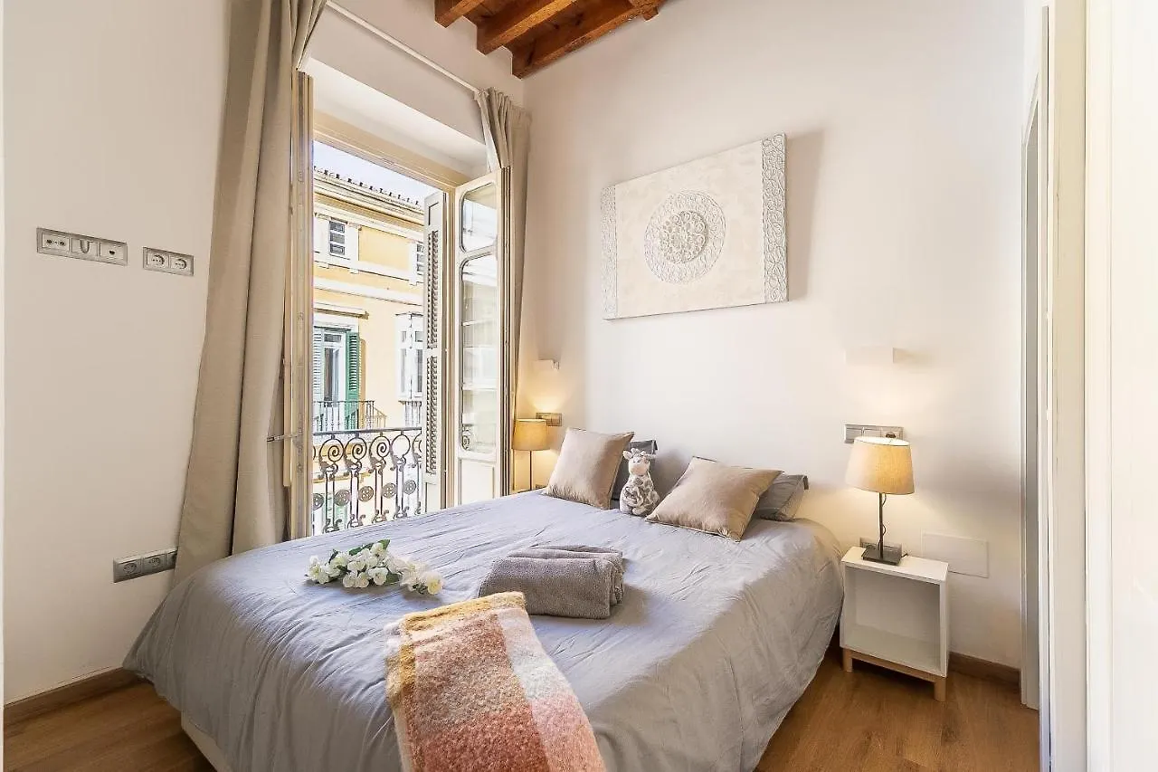 Deluxe Larios Malaga Center Apartment